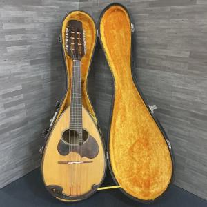 SUZUKI Mandolino M-30 Brown Bowl Back USATO