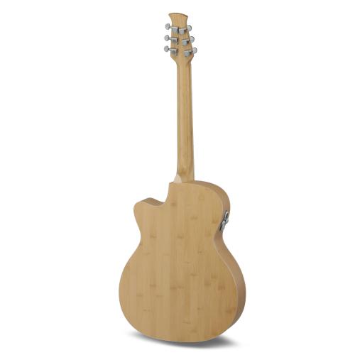 Applause Chitarre elettroacustiche Jump Blank Canvas