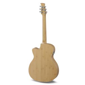 Applause Chitarre elettroacustiche Jump Blank Canvas