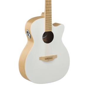 Applause Chitarre elettroacustiche Jump Blank Canvas