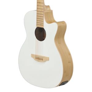 Applause Chitarre elettroacustiche Jump Blank Canvas