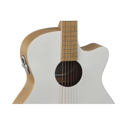 Applause Chitarre elettroacustiche Jump Blank Canvas