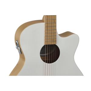 Applause Chitarre elettroacustiche Jump Blank Canvas