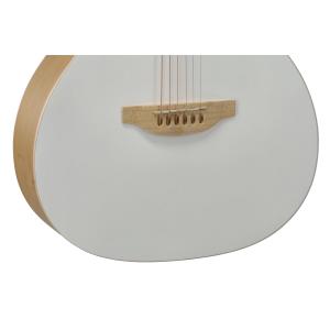 Applause Chitarre elettroacustiche Jump Blank Canvas