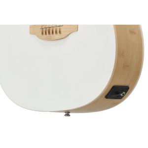 Applause Chitarre elettroacustiche Jump Blank Canvas