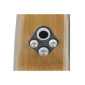 Applause Chitarre elettroacustiche Jump Blank Canvas