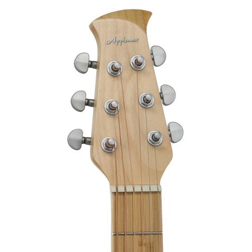 Applause Chitarre elettroacustiche Jump Blank Canvas