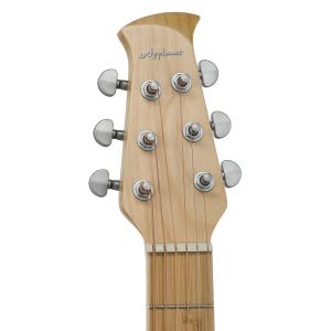 Applause Chitarre elettroacustiche Jump Blank Canvas