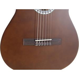 GEWA Chitarra Classica Basic Set 4/4 Color Noce PS510180