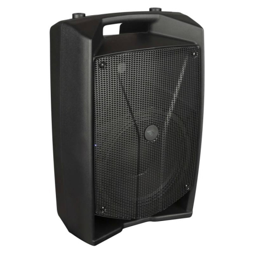 PROEL V10 Pro DIFFUSORE ATTIVO 600 WATT 10"