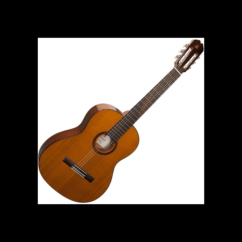 Admira Malaga conservatorio chitarra classica spagnola