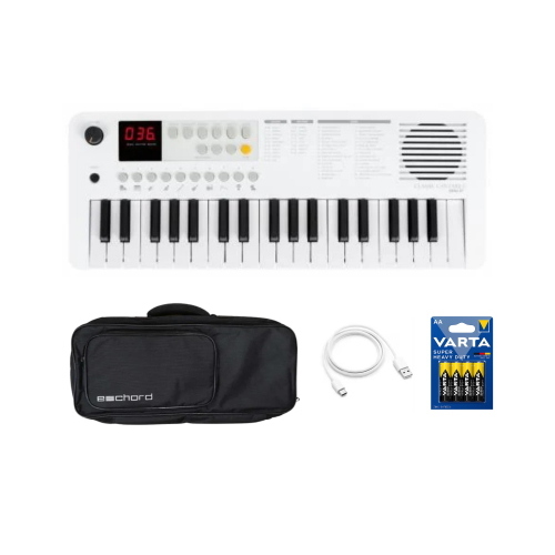 FBT ECHORD MINI-37 Keyboard bianco SK37 TASTIERA + CUSTODIA + 4 BATTERIE AA