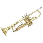 TROMBA SI b CON CUSTODIA GRASSI STR500