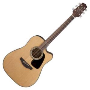 acoustic guitar , maple fretboard , black with screen-printed table