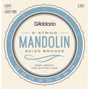 D'ADDARIO EJ62 CORDE PER MANDOLINO MUTA .010-034