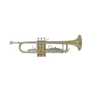 Bach TR655 Tromba in Sib DORATA